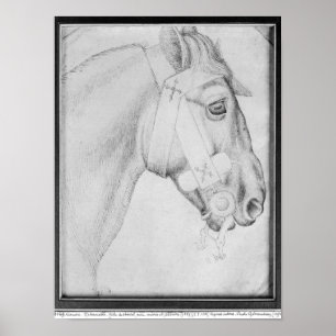 Kopf eines Pferds, vom Vallardi Album Poster