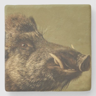 Kopf eines Wildschweins Steinuntersetzer