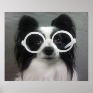 KOPF IN SHADES POSTER