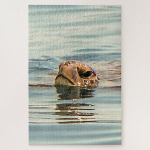 Kopf Oberhalb Wasser Schildkröte Ozean Wildlife Ar