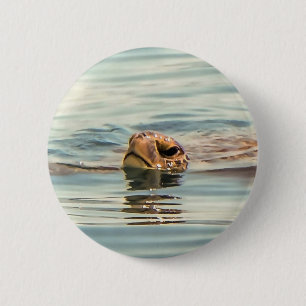 Kopf Oberhalb Wasser Schildkröte Ozean Wildlife Ar Button