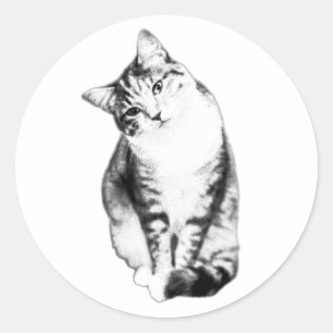 Kopf-Tilt Tabby Cat Monochrome Aufkleber