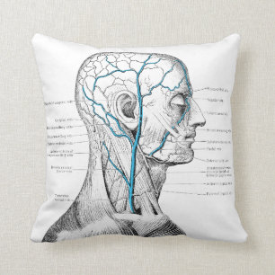Kopf und Adern - Anatomie Kissen
