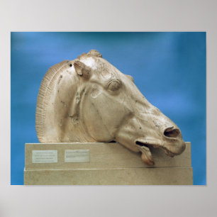 Kopf von einem der Pferde von Selene Poster