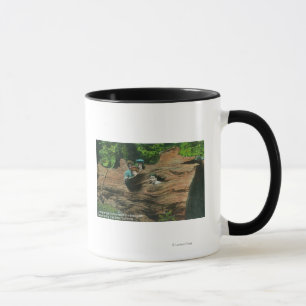 Köpfe herausgestellt in den Knoten-Löchern des Tasse