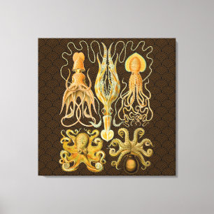 Kopffüßer Oktopus Tintenfisch Meeresnatur Leinwanddruck