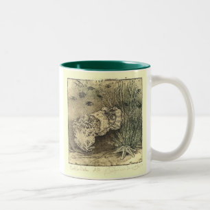 Kopffüßer Zweifarbige Tasse