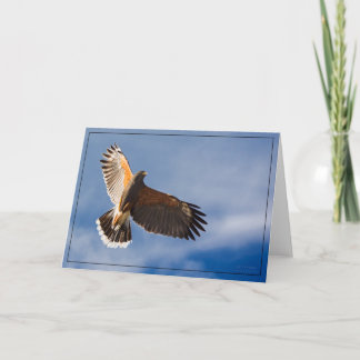 Kopfhöhe der Hawk - BLANK-Karte Karte