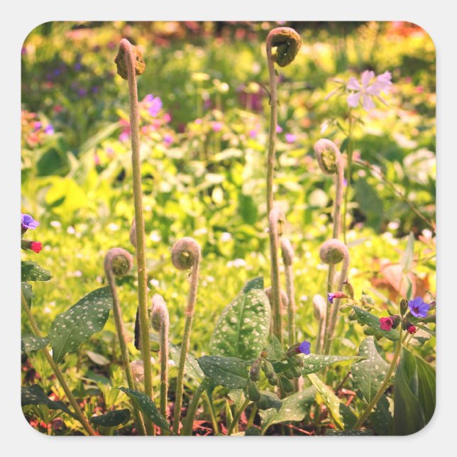 Kopfhörer und Blume Quadratischer Aufkleber (Vorderseite)