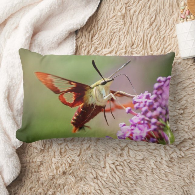 Kopfkissen Lendenkissen (Decke)