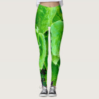 Kopfsalat-Leggings