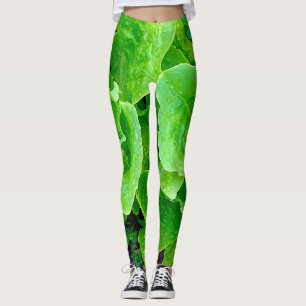 Kopfsalat-Leggings Leggings