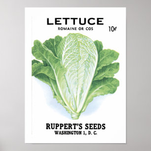 Kopfsalat-Vintages Samen-Paket Poster