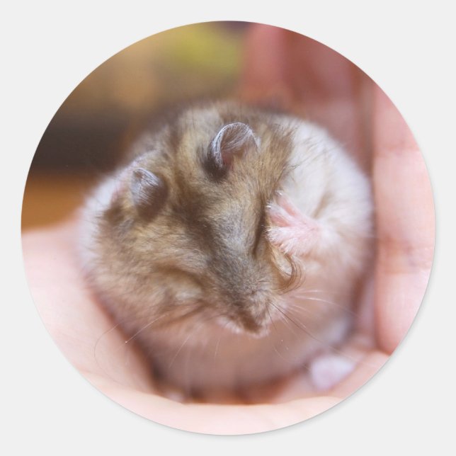 Kopfschmerzen eines Hamsters Runder Aufkleber (Vorderseite)