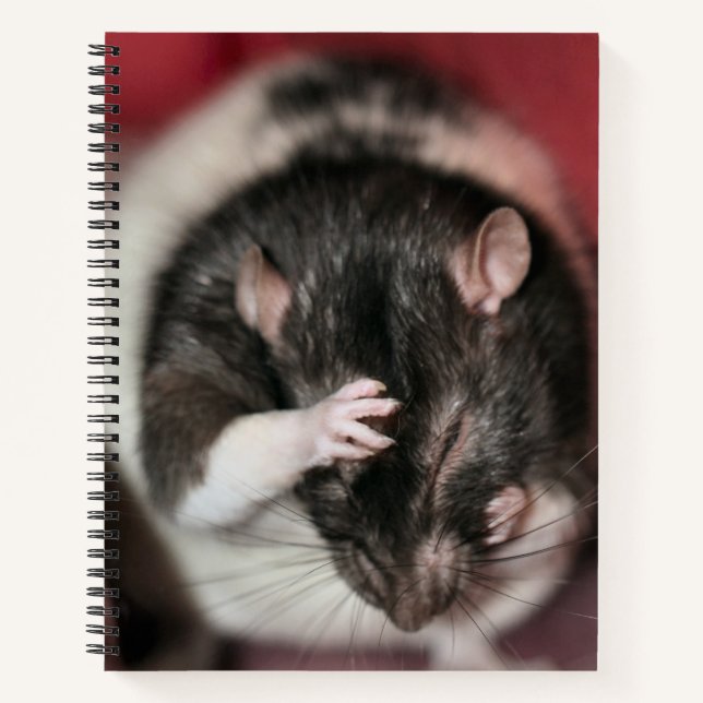 Kopfschmerzen Notizbuch (Vorderseite)