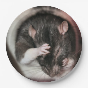 Kopfschmerzen! Pappteller