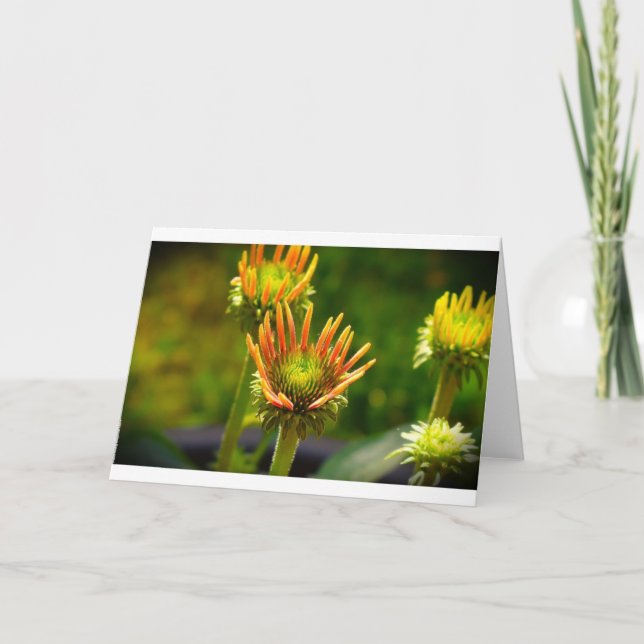 Kopfstütze, Karte (Vorderseite)