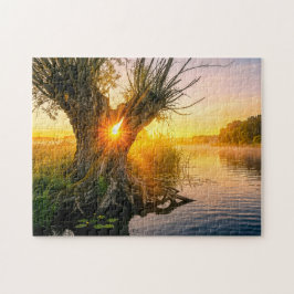 Kopfweide an einem nebligen Fluss bei Sonnenaufgan