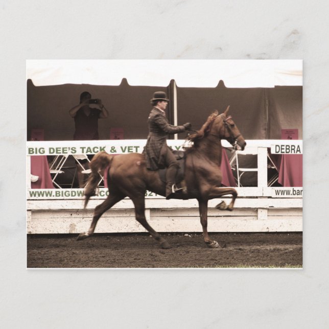 Kopie IMG_0065 Postkarte (Vorderseite)