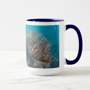 KORALE TASSE