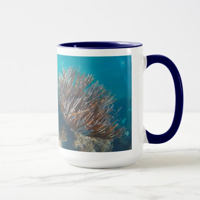 KORALE TASSE (Rechts)