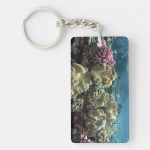 Koralle, Agincourt Riff, Great Barrier Reef, Schlüsselanhänger