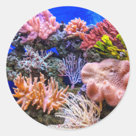 Koralle in einem Salzwasser-Aquarium Runder Aufkleber