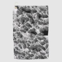 Koralle mit schwarz-weiß