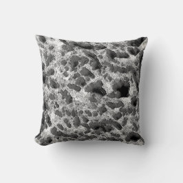 Koralle mit schwarz-weiß kissen