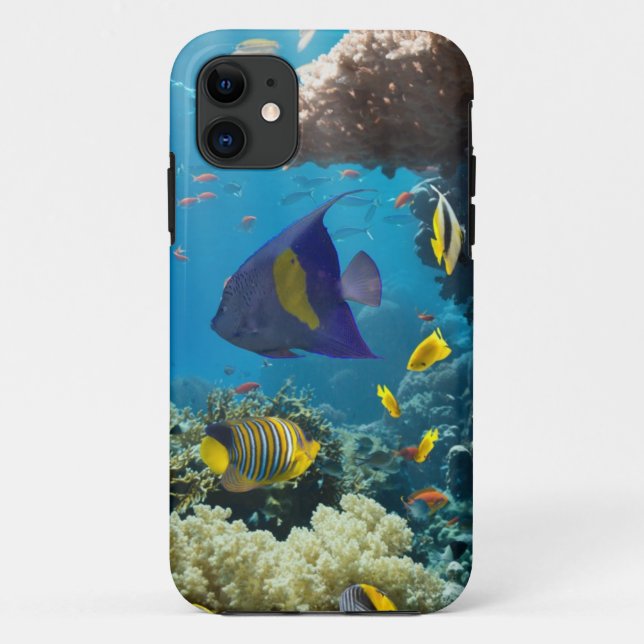 Koralle und Fische im Roten Meer, Ägypten Case-Mate iPhone Hülle (Rückseite)