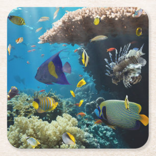 Koralle und Fische im Roten Meer, Ägypten Rechteckiger Pappuntersetzer