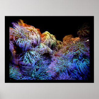 Korallen Das Meer der Unterwasserposter Poster