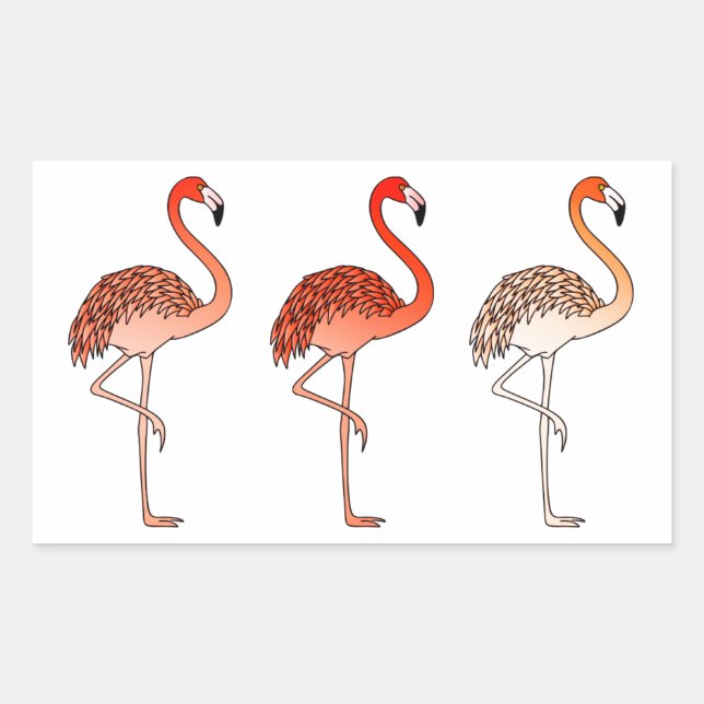 Korallenfarbene Flamingos Rechteckiger Aufkleber (Vorderseite)