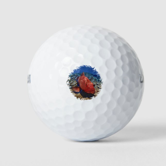 Korallenfisch Golfball (Vorderseite)