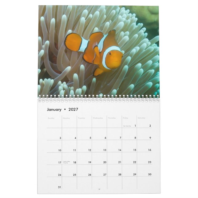 Korallenmeer-Kalender 2014 Kalender (Jan 2027)