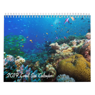 Korallenmeer-Kalender 2019 Kalender