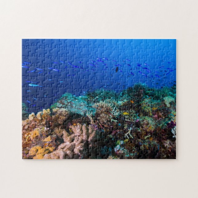 Korallenmeer - tropische Fische und Riff - Puzzle (Horizontal)