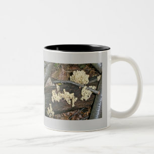Korallenpilzkoordinierungselemente Zweifarbige Tasse