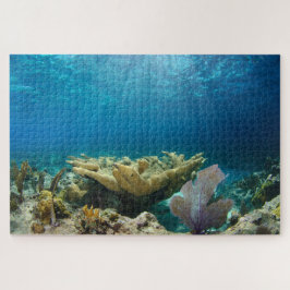 Korallenriff 20"x30"