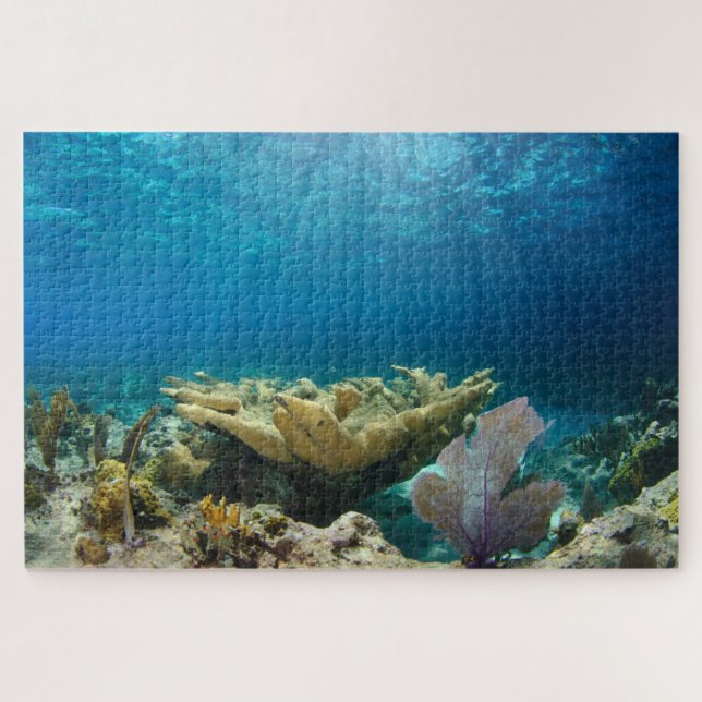 Korallenriff 20"x30" (Horizontal)