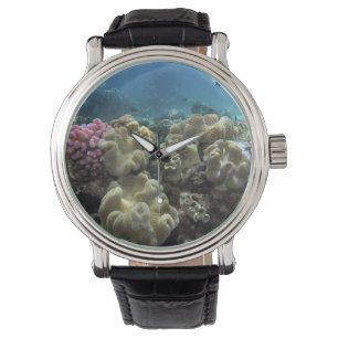 Korallenriff, Agincourt Reef, Great Barrier Reef, Armbanduhr