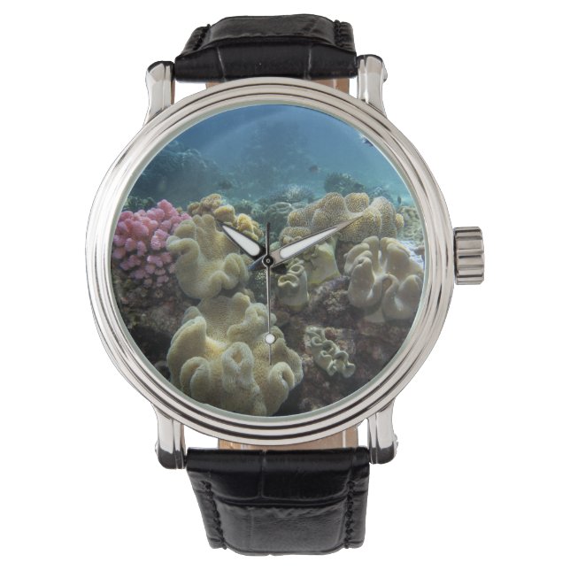 Korallenriff, Agincourt Reef, Great Barrier Reef, Armbanduhr (Vorderseite)