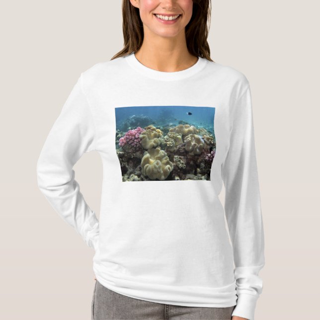 Korallenriff, Agincourt Reef, Great Barrier Reef, T-Shirt (Vorderseite)