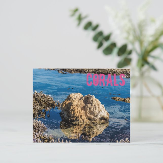 Korallenriff bei Ebbe Feiertagspostkarte (Stehend Vorderseite)
