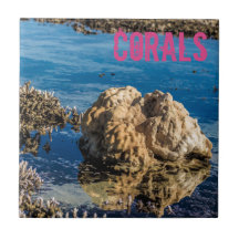 Korallenriff bei Ebbe