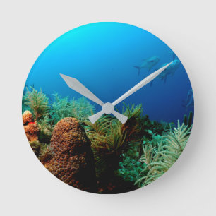 Korallenriff, Dry Tortugas National Park, Florida Runde Wanduhr