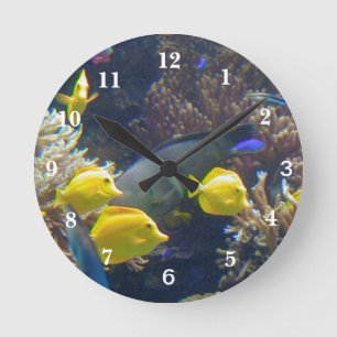Korallenriff-Fische Runde Wanduhr