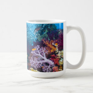 Korallenriff-Landschaft   Großauge oder Kaffeetasse