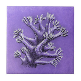 Korallenriff Lila Meeresbiologie Kunst Fliese
