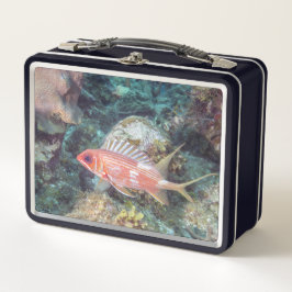 Korallenriff Longspine Squirrelfish Silvery Red Metall Brotdose